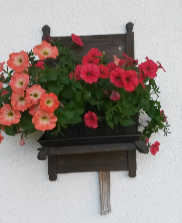Waldschoenau Kirchbichl Zewnętrze zdjęcie